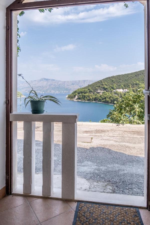 Apartments Darija Pucisca Dış mekan fotoğraf