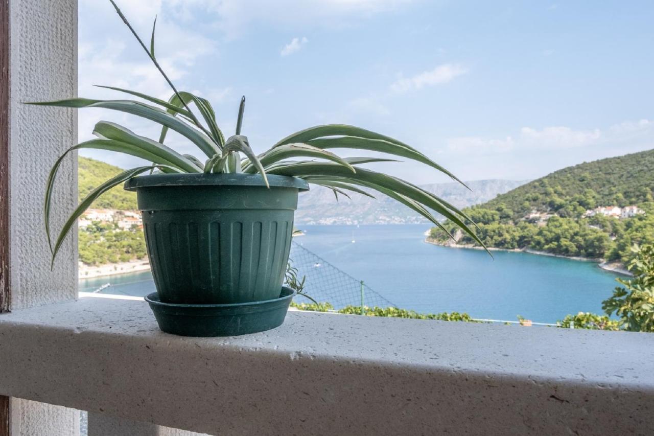 Apartments Darija Pucisca Dış mekan fotoğraf